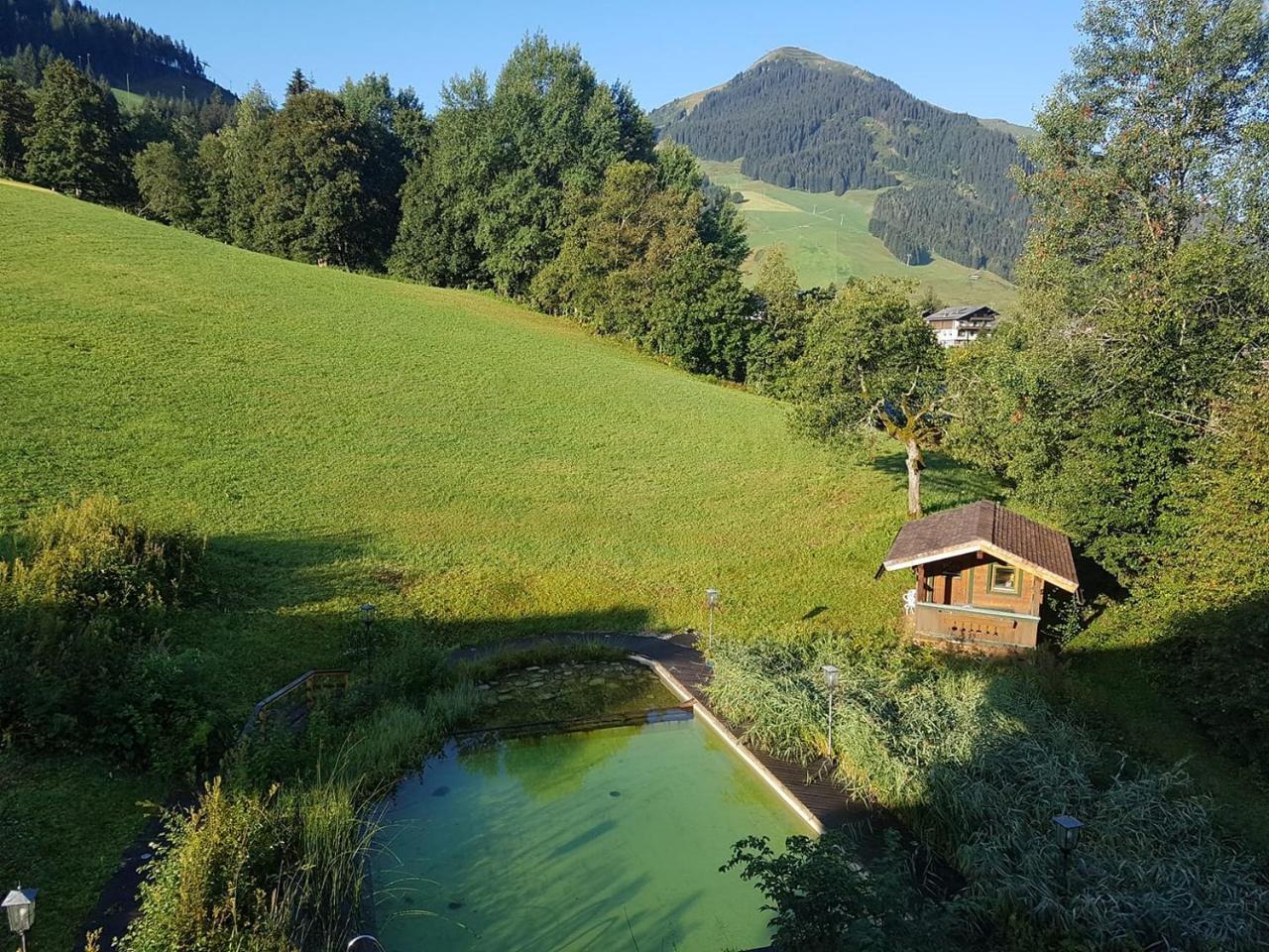 Ski in Ski out Hotel Unterellmau Saalbach-Hinterglemm Eksteriør bilde
